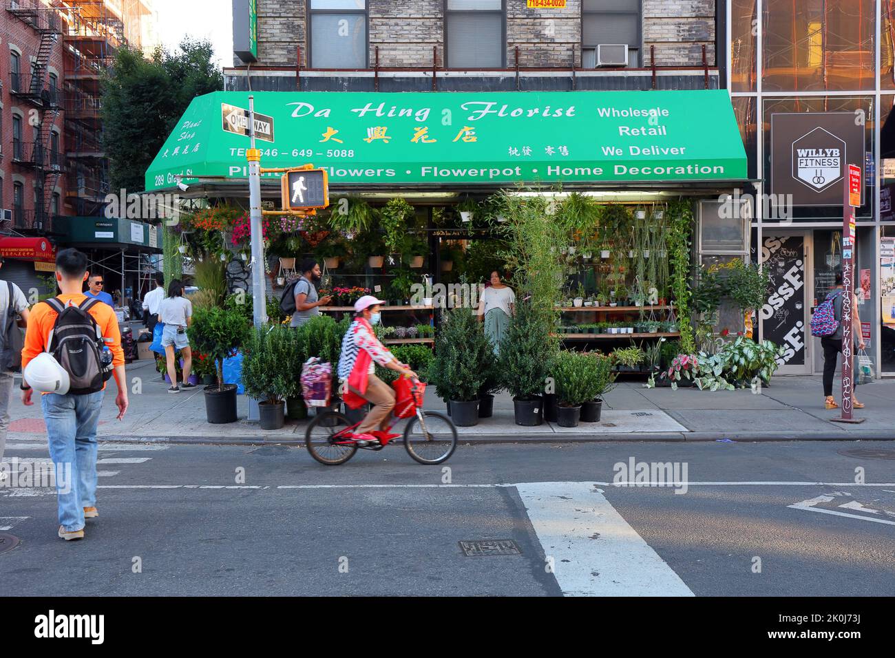 Dahing Plants, 289 Grand St, New York, New York, New York, foto di un vivaio di piante a Manhattan Chinatown. 華埠, 紐約, 唐人街 Foto Stock