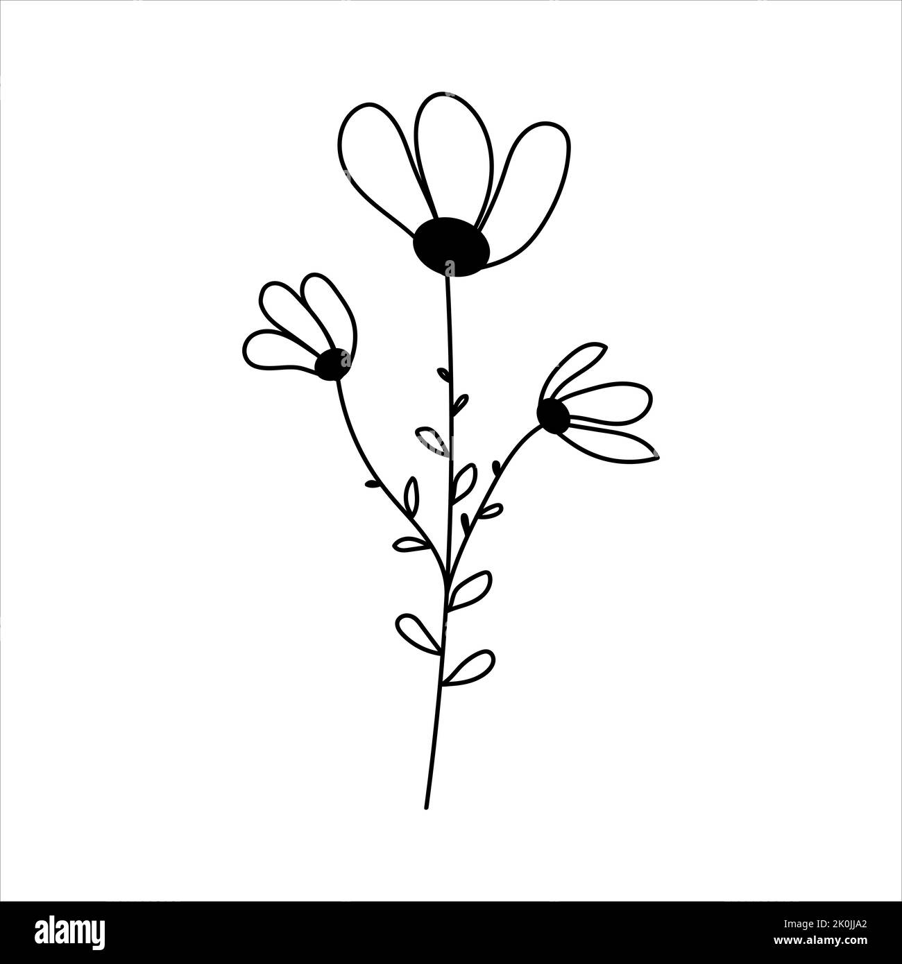 Immagine di silhouette di camomilla. Illustrazione vettoriale di un fiore. Fiori e piante Illustrazione Vettoriale