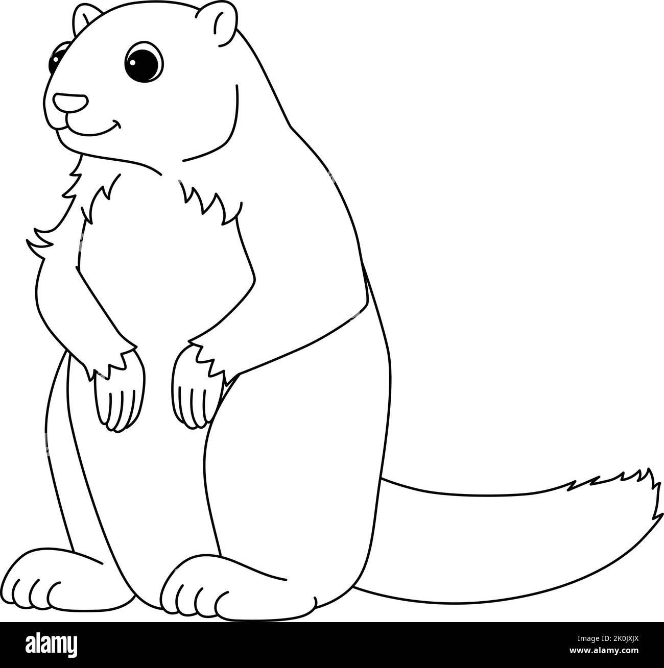 Marmotta animale isolato colorazione pagina per bambini Illustrazione Vettoriale