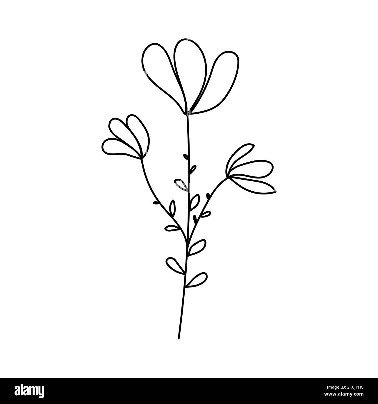 Immagine di silhouette di camomilla. Illustrazione vettoriale di un fiore. Fiori e piante Illustrazione Vettoriale
