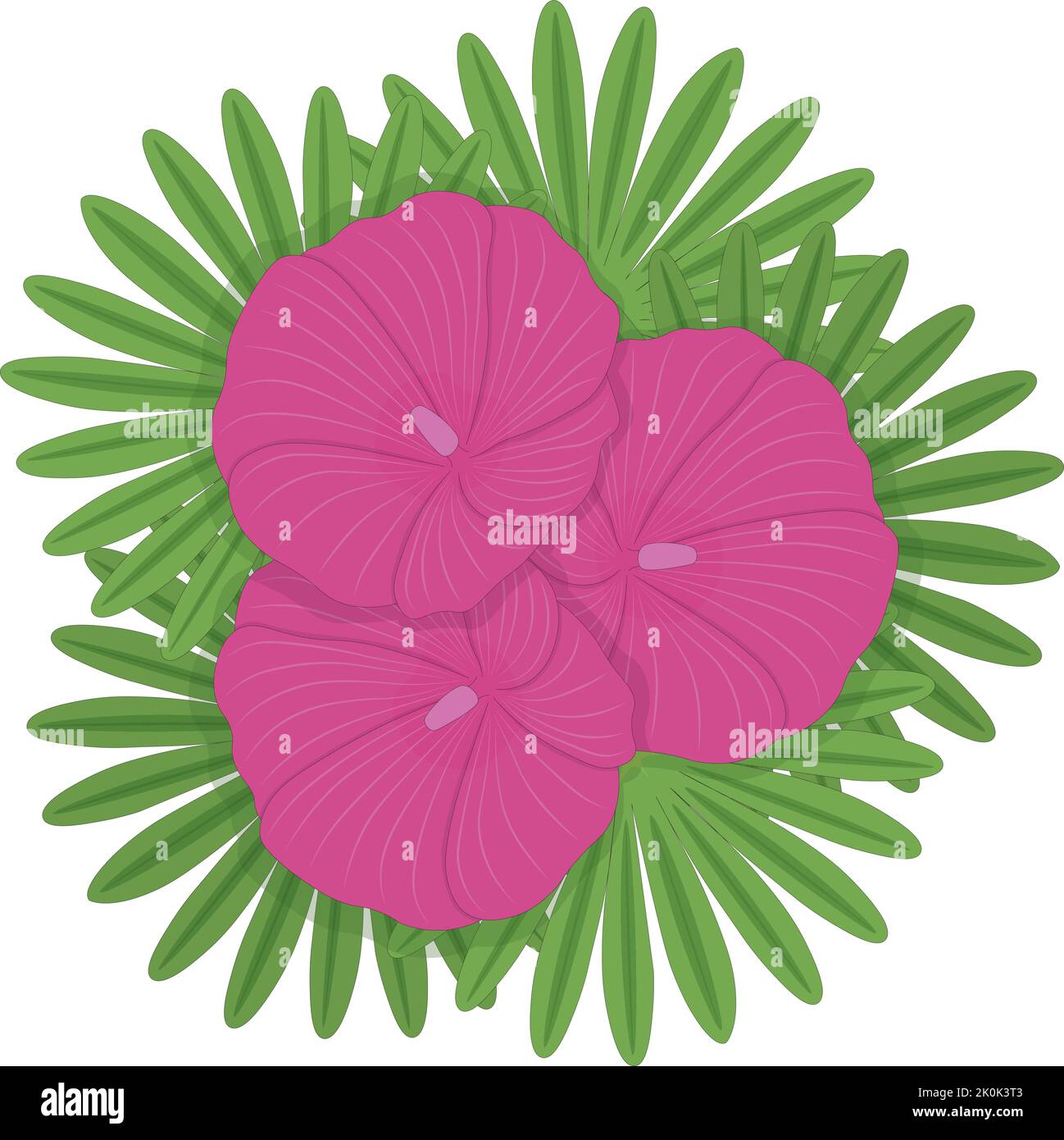 Tre stockrose rosa sulle foglie verdi disegno vettoriale composizione floreale Illustrazione Vettoriale