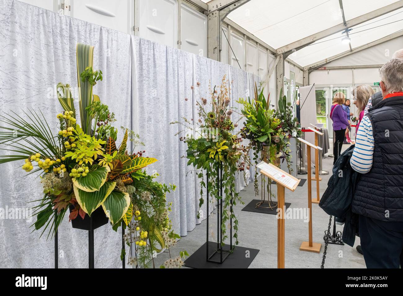 RHS Garden Wisley Flower Show Settembre 2022, un evento orticolo annuale a Surrey, Inghilterra, Regno Unito. Composizioni floreali in arte floreale. Foto Stock
