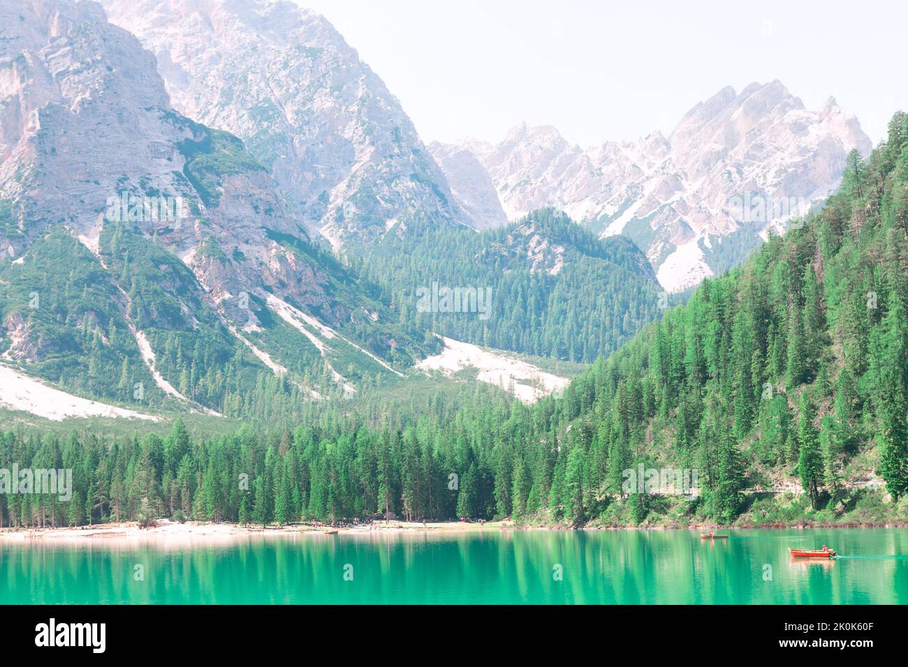 Pines lago montagne scenario . Splendido lago alpino . Foresta di conifere Evergreen al litorale . Persone che camminano nel Parco Nazionale Foto Stock