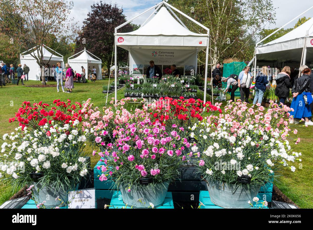 RHS Garden Wisley Flower Show Settembre 2022, un evento orticolo annuale a Surrey, Inghilterra, Regno Unito Foto Stock