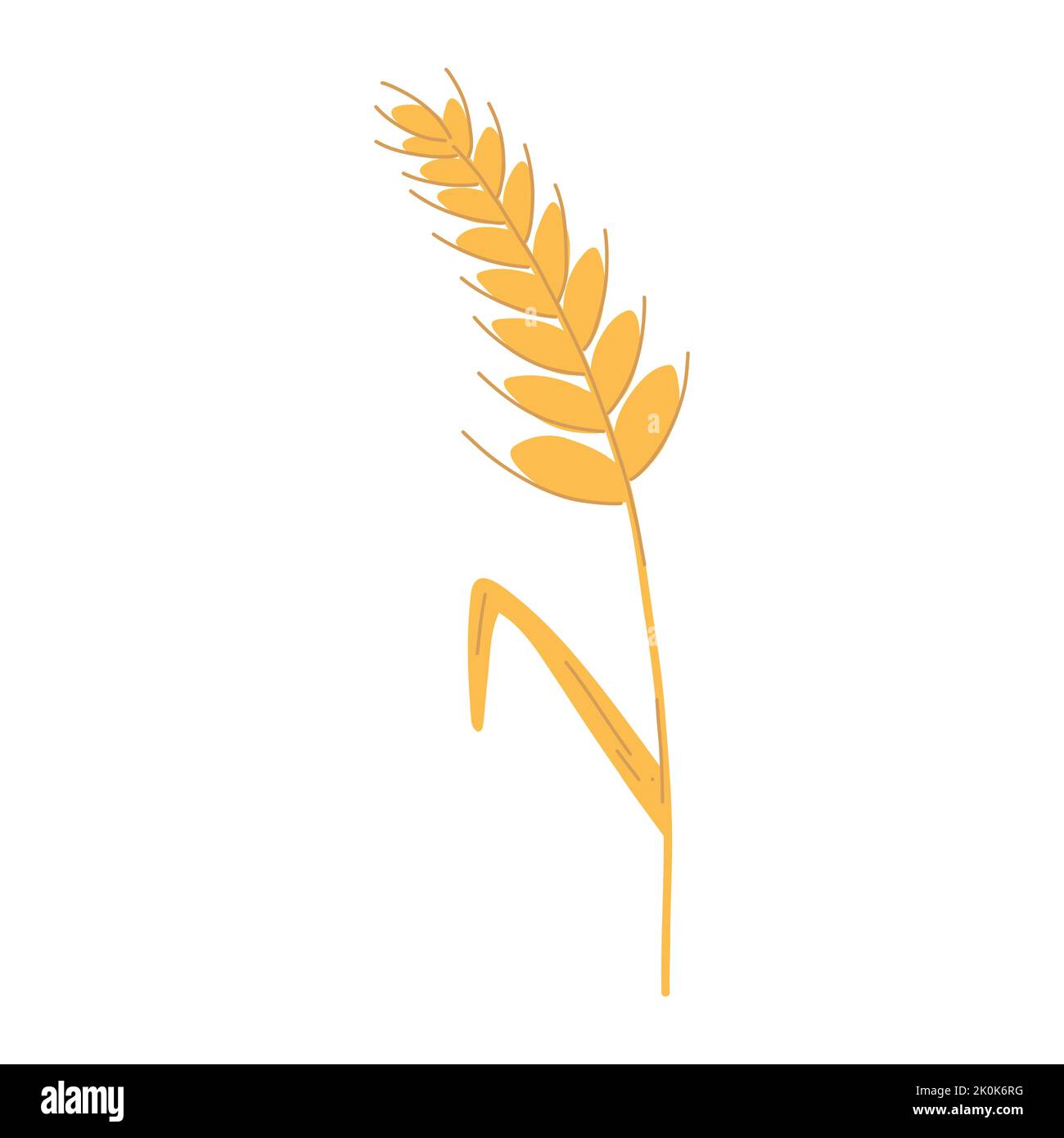 Spikelet all'orecchio di grano con grani in cartoon stile piatto. Illustrazione vettoriale del gambo di grano di cereale, orecchio di segale, alimento vegetariano organico per backery, farina Illustrazione Vettoriale