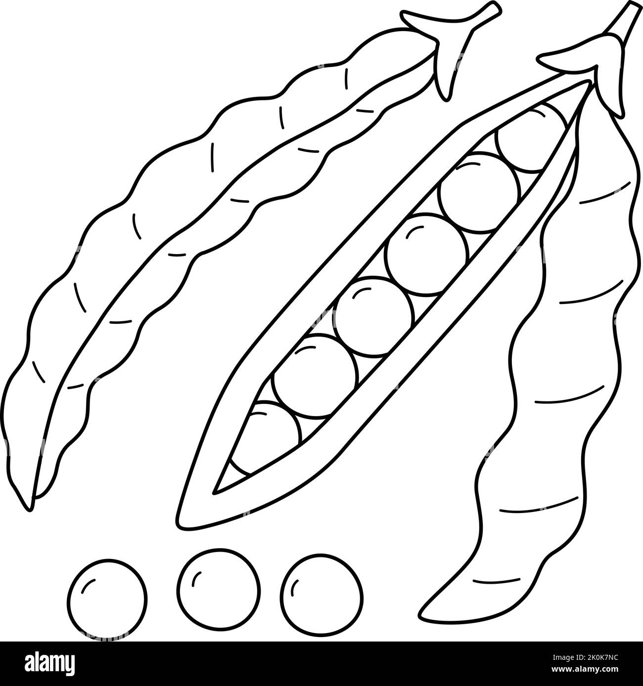 Verde frutta di fagioli isolato colorazione pagina Illustrazione Vettoriale