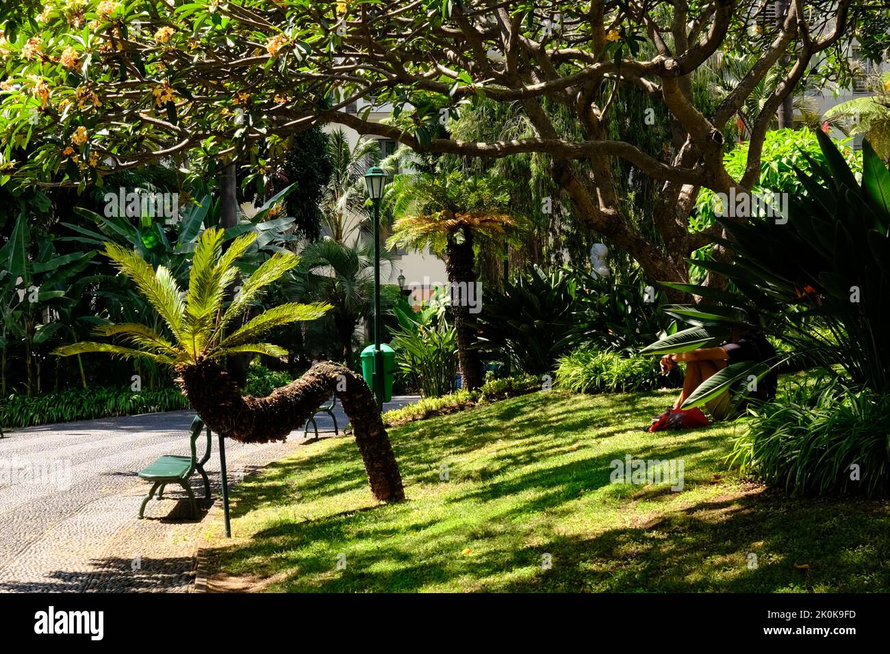 Jardim Municipal, Giardini della città, Funchal Madeira, Portogallo Foto Stock