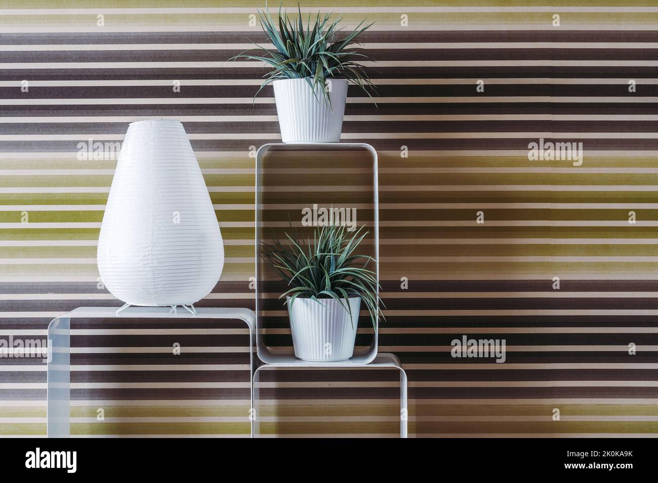 Concezione minimalista di fiori bianchi in vasi stretti in ceramica e  grande vaso moderno posto su mensole bianche in camera con parete a righe  Foto stock - Alamy