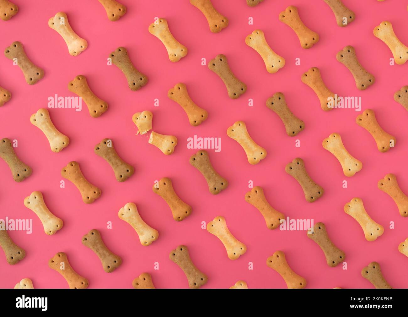Motivo fatto di biscotti del cane su fondo rosa. Foto Stock