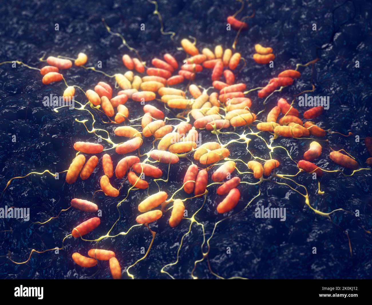 Caused by the yersinia pestis bacterium immagini e fotografie stock ad