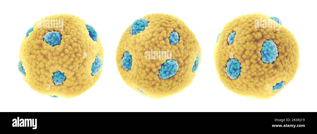 Set di particelle di lipoproteine ad alta densità (HDL) anche noto come colesterolo buono, isolato su bianco Foto Stock