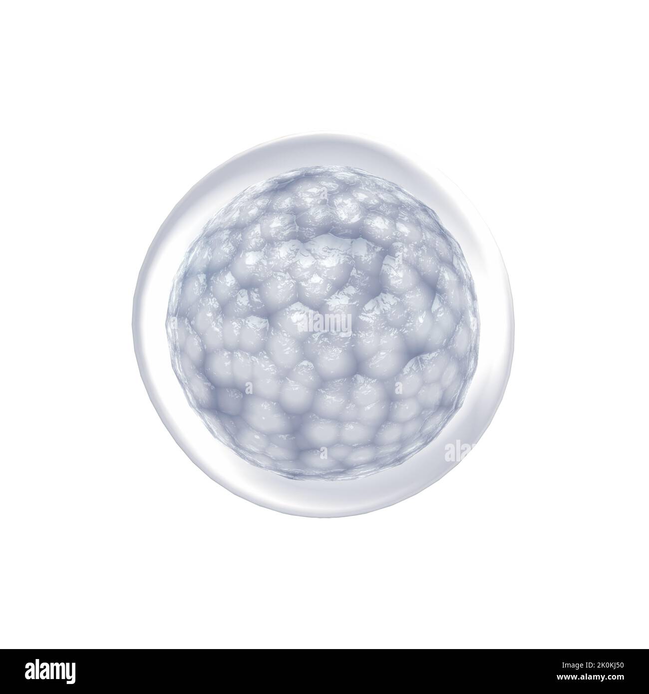 Cellule staminali embrionali isolate su bianco. Riparare le cellule danneggiate riducendo l'infiammazione e modulando il sistema immunitario Foto Stock