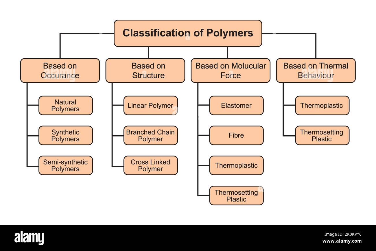 Classificazione dei polimeri. Polimeri e suoi tipi. Illustrazione vettoriale. Illustrazione Vettoriale