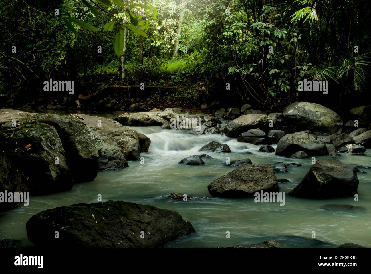 l'acqua scorre tra le rocce nel mezzo di una foresta verde Foto Stock