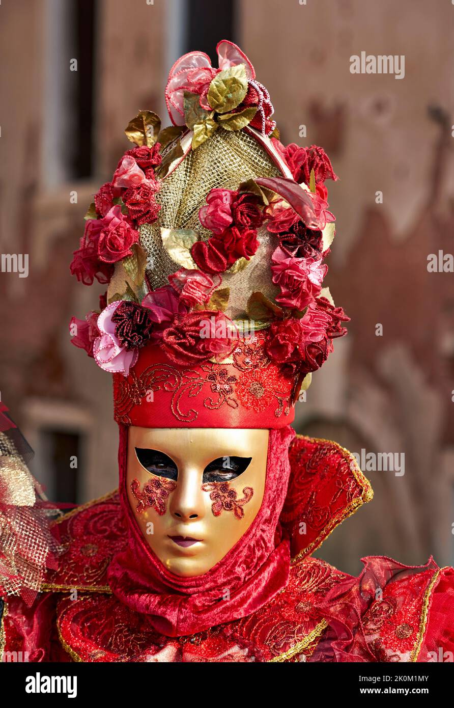 Venezia Italia. Il Carnevale Foto Stock