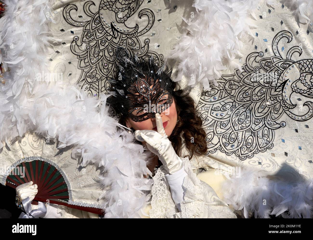 Venezia Italia. Il Carnevale Foto Stock