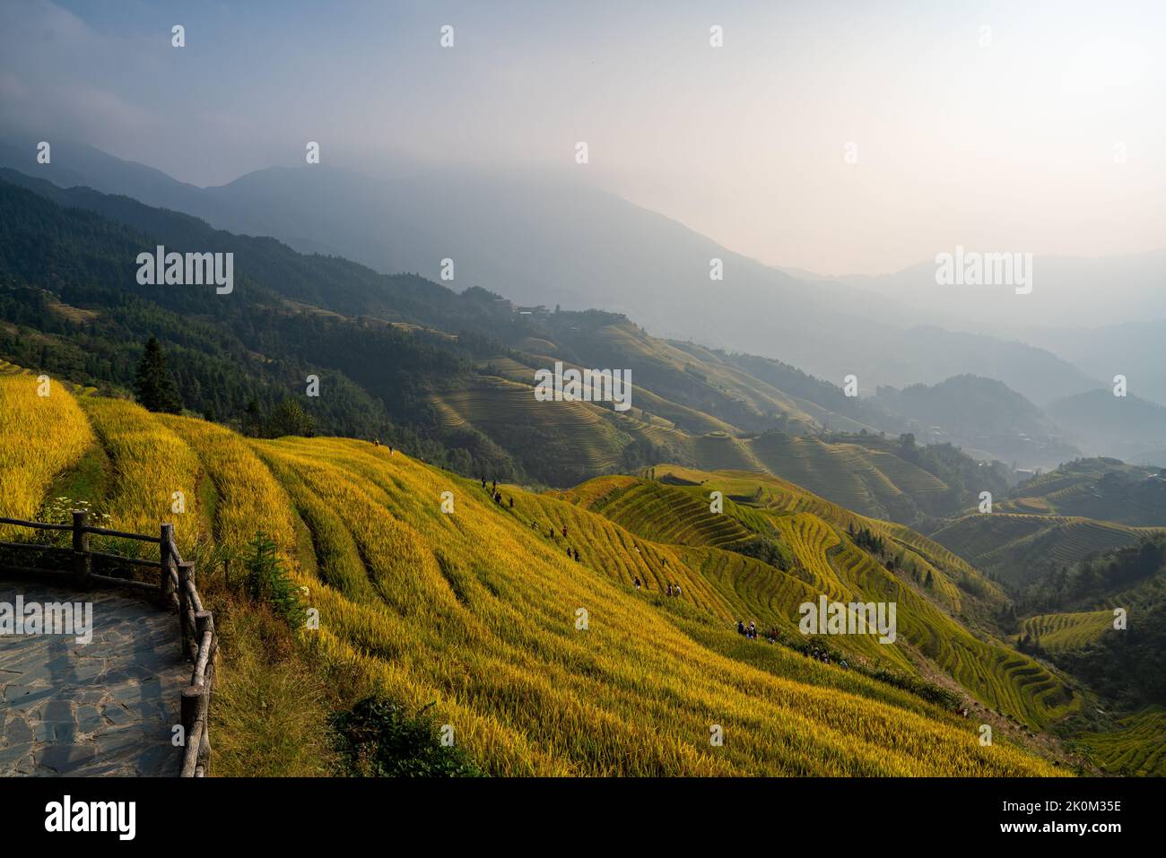 Longji Rice Terraces Cina vista aerea alba Foto Stock