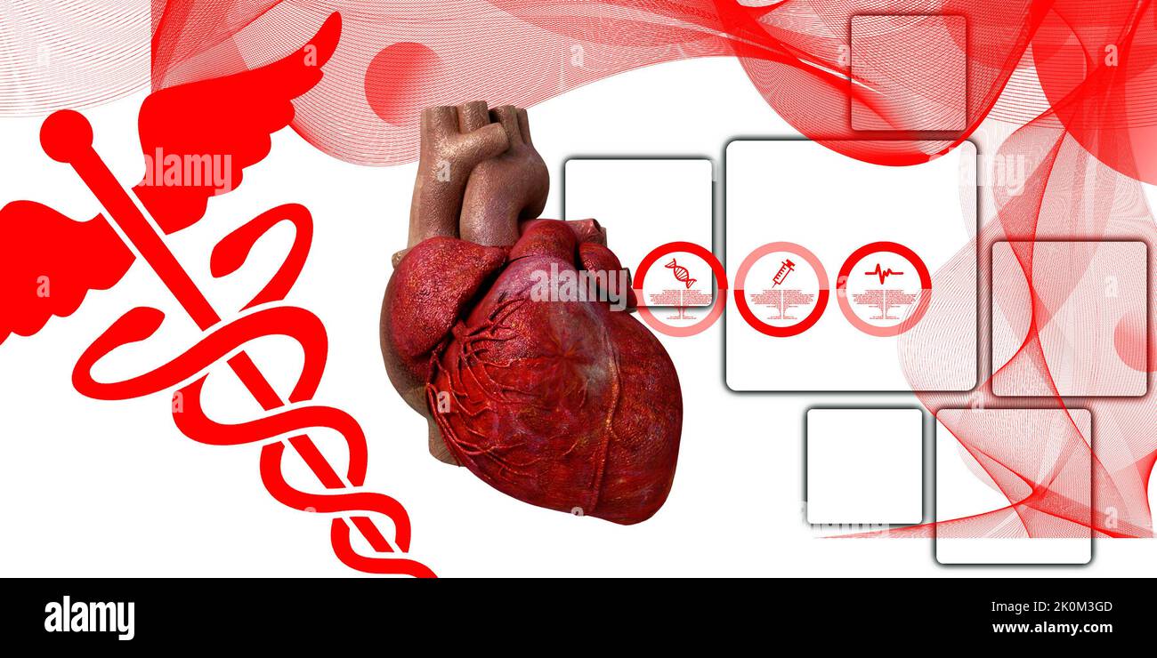 3D illustrazione Anatomia del cuore umano Foto Stock