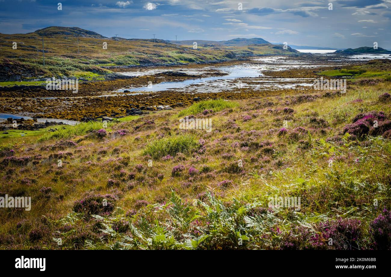 Paesaggio sull'Isola Ebridea scozzese di COLL Foto Stock