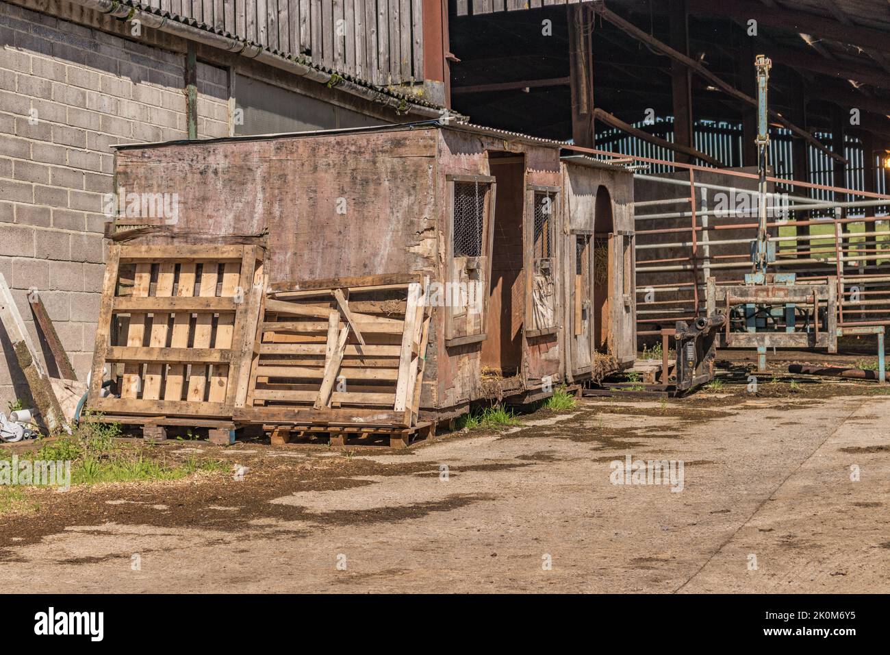 Dorset Farm scena a ovest di Shaftesbury in Dorset Foto Stock