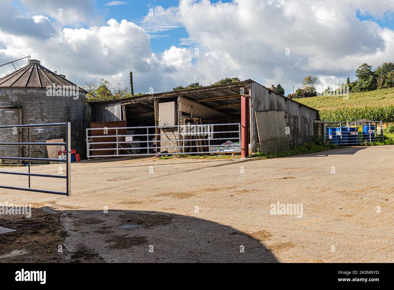 Dorset Farm scena a ovest di Shaftesbury in Dorset Foto Stock