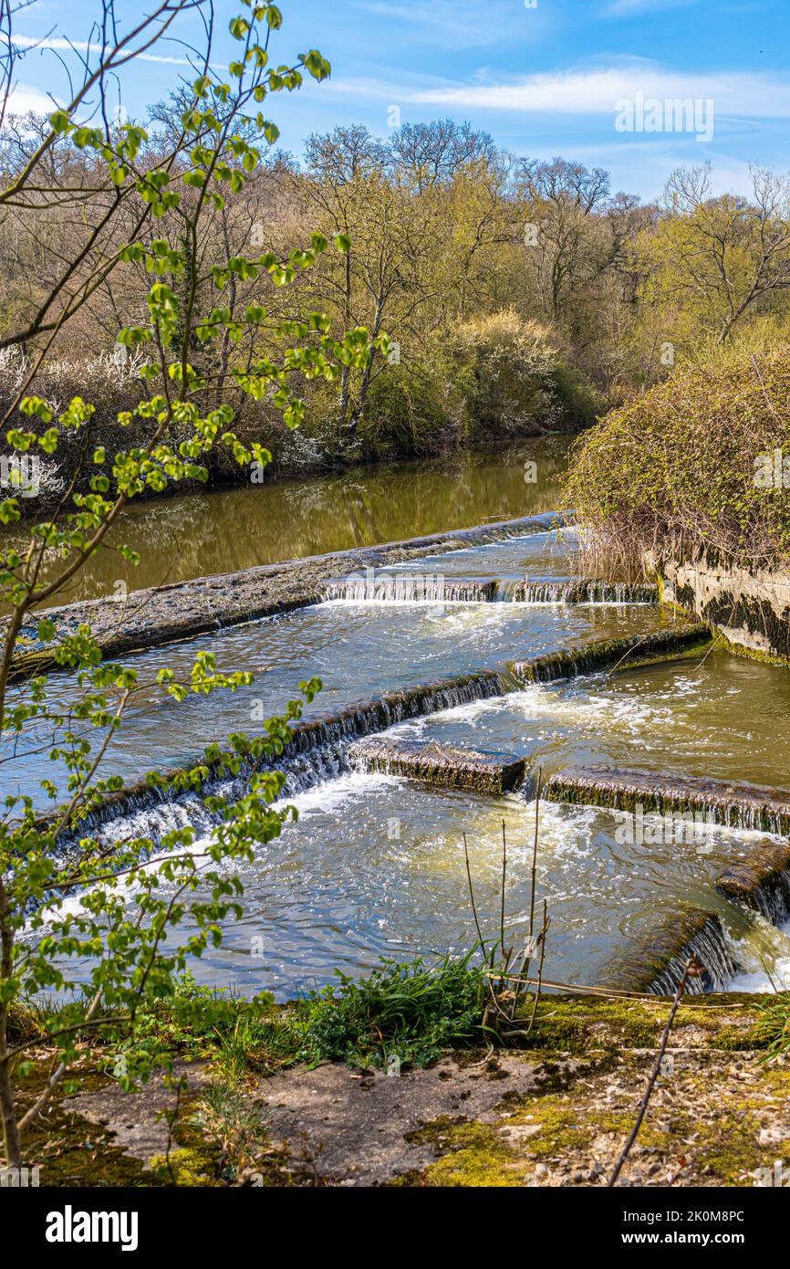 Fiume Stour Weir a Fiddleford Mill e si trova tra Okeford Fitzpaine e Sturminster Newto nel Dorset settentrionale, Regno Unito Foto Stock