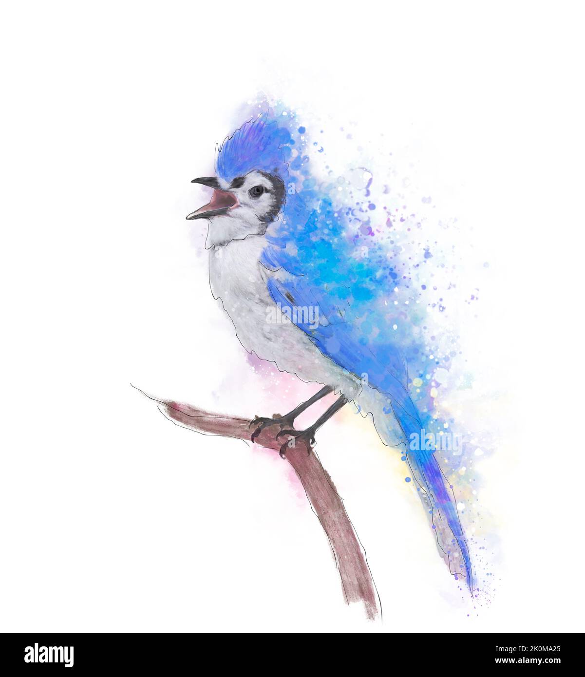 Pittura digitale acquerello Blue Jay Foto Stock