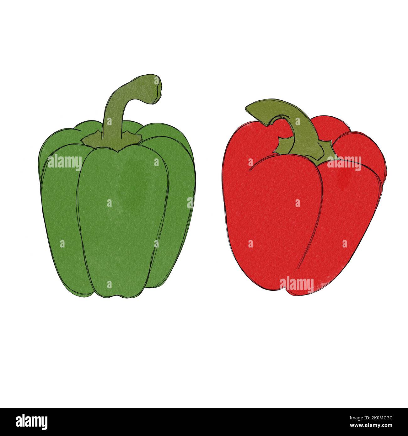 Paprika fresca, pepper di campana acquerello disegno a mano libera. Foto Stock