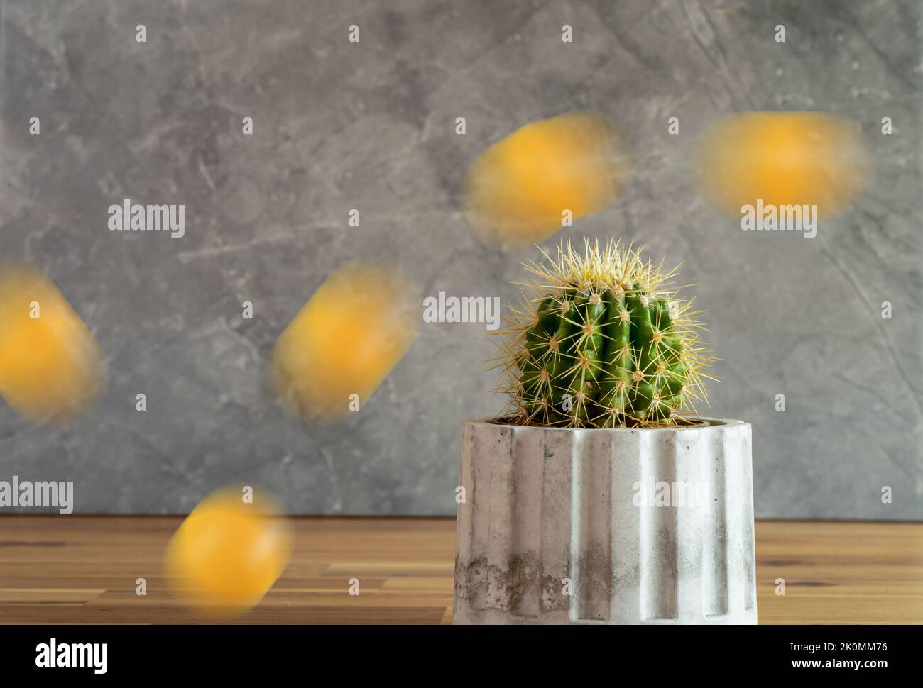 Foto ravvicinata della pianta del cactus e della palla da salto come concetto di superare problemi e problemi complessi. Effetto di sfocatura del movimento applicato. Foto Stock