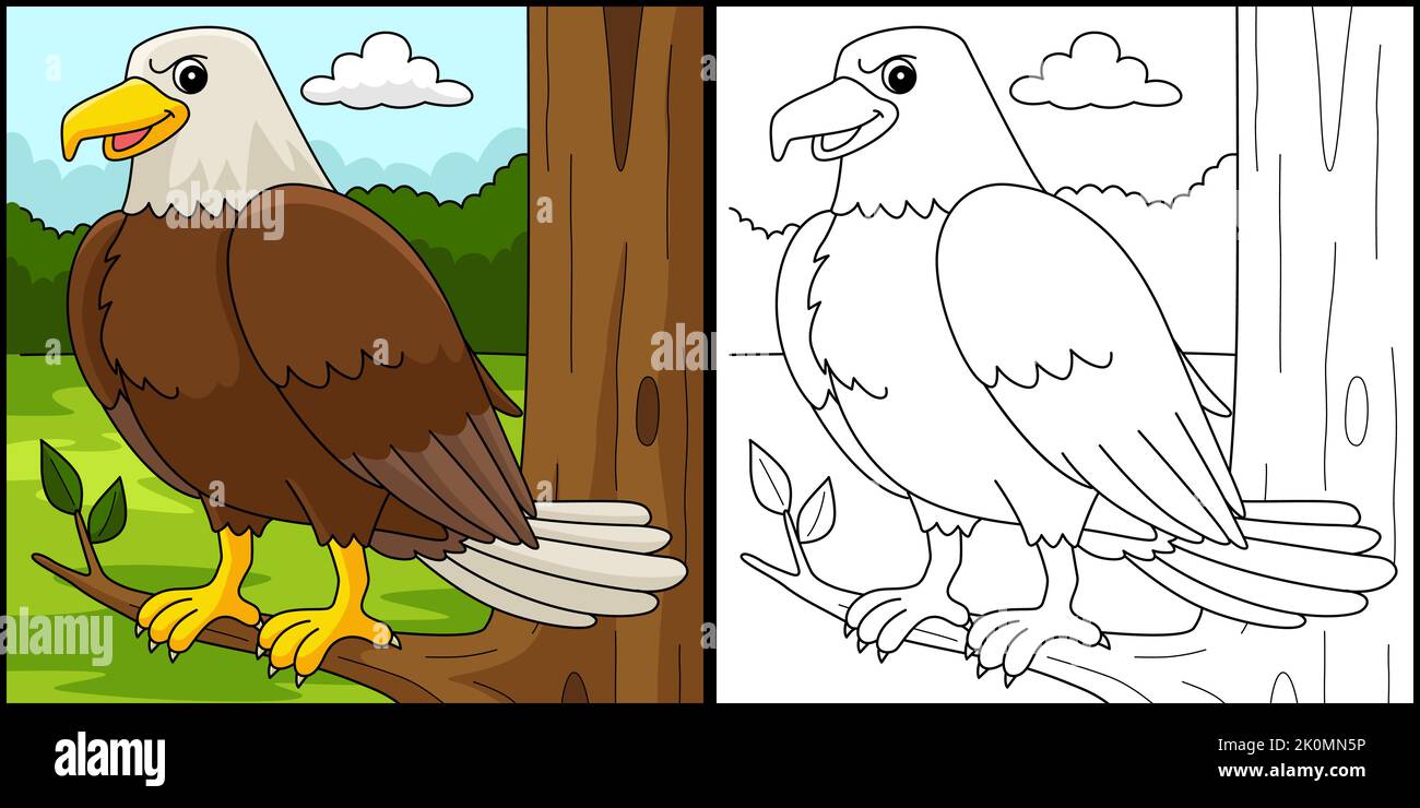 Eagle animale colorazione pagina colorata Illustrazione Illustrazione Vettoriale