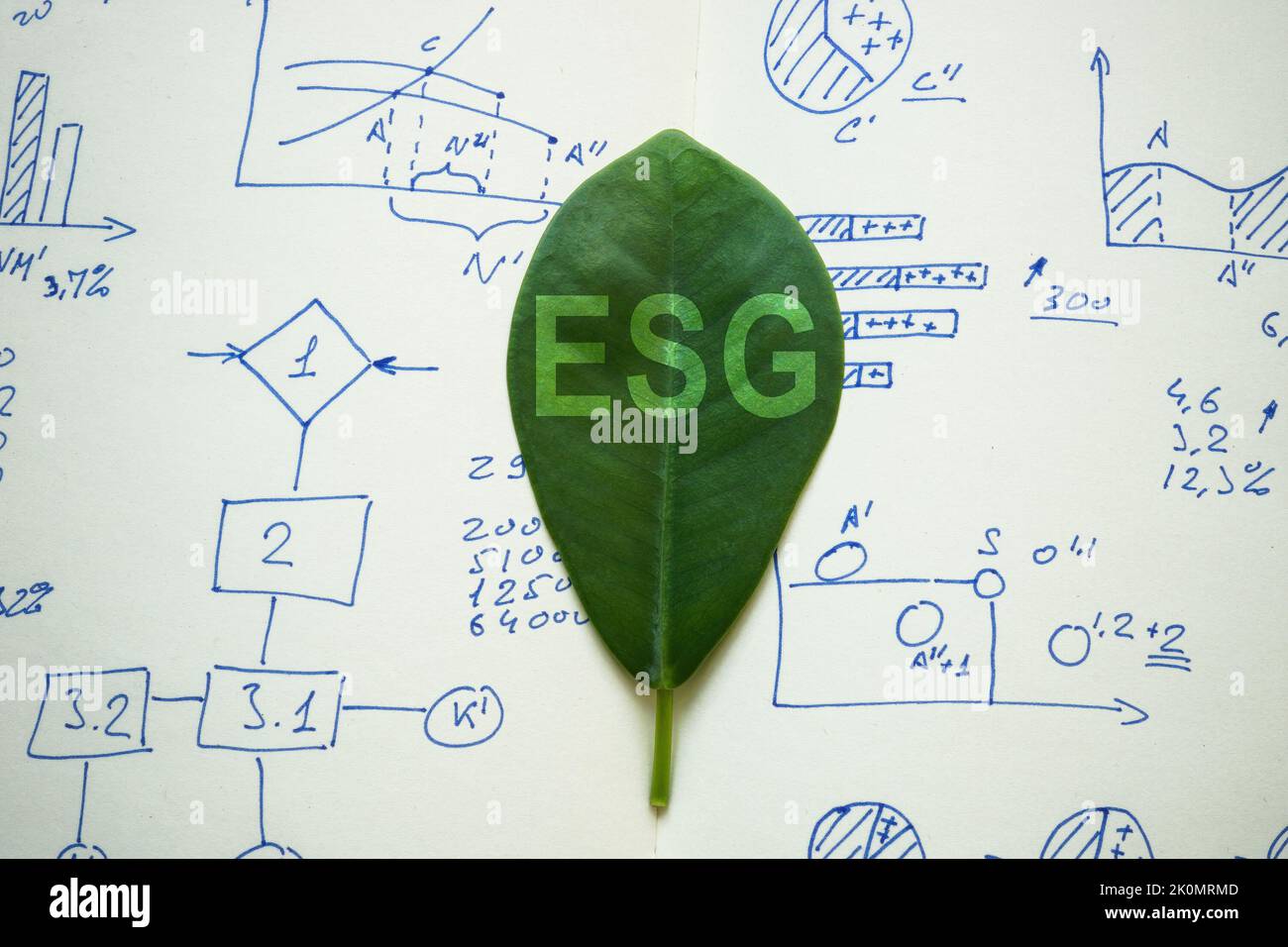 Foglia sui grafici con il segno ESG Environmental, Social, and Corporate Governance. Foto Stock
