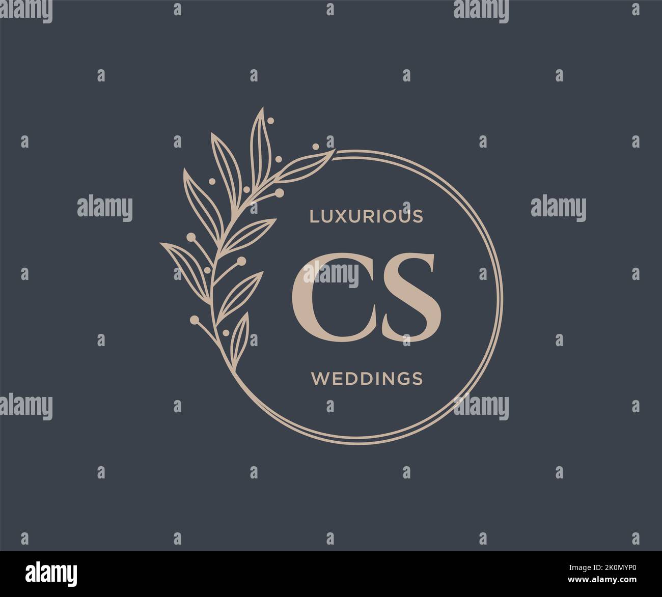 CS iniziali lettera modello logo monogramma matrimonio, modelli moderni minimalisti e floreali disegnati a mano per le carte di invito, Salva la data, elegante Illustrazione Vettoriale