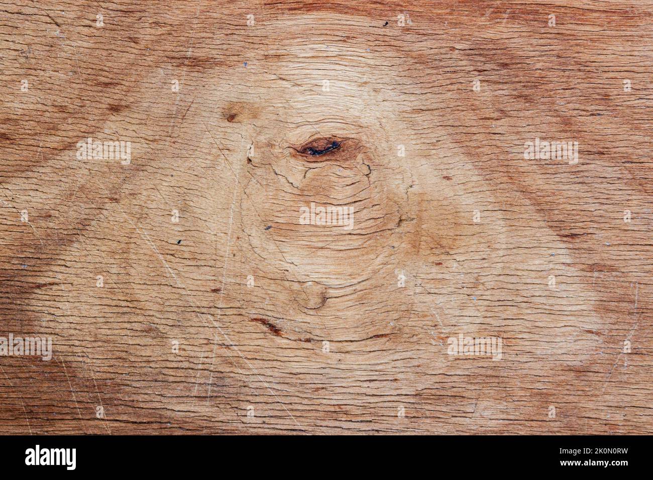 Sfondo in legno, struttura, legno con nodi in primo piano Foto Stock