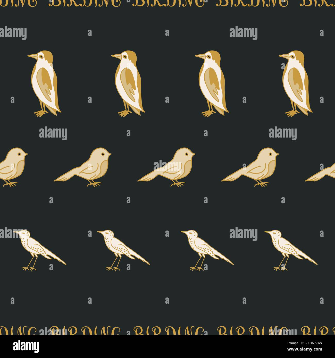 Birdwatching a righe senza cuciture. Uccelli e parola Birding in fila su sfondo nero. Illustrazione Vettoriale