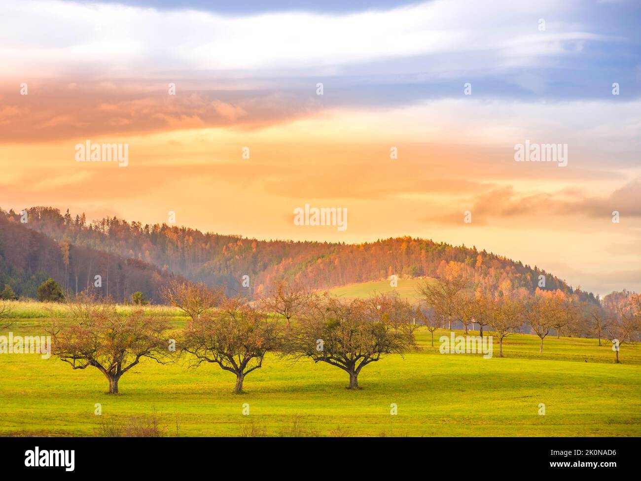 Paesaggio autunnale con alberi pittoreschi e cielo colorato tramonto Foto Stock