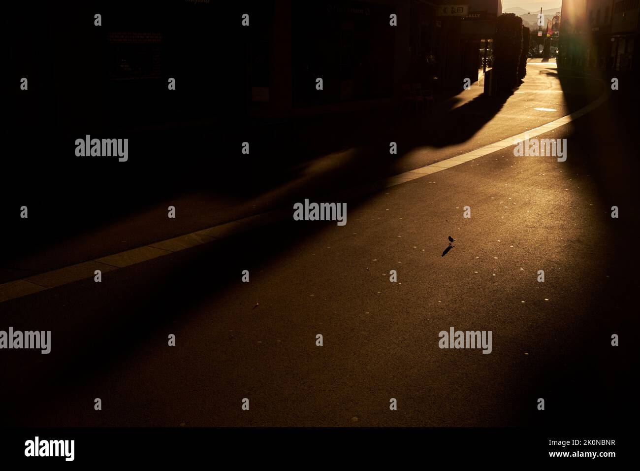 Edifici ombre su sentiero asfaltato in città Foto Stock