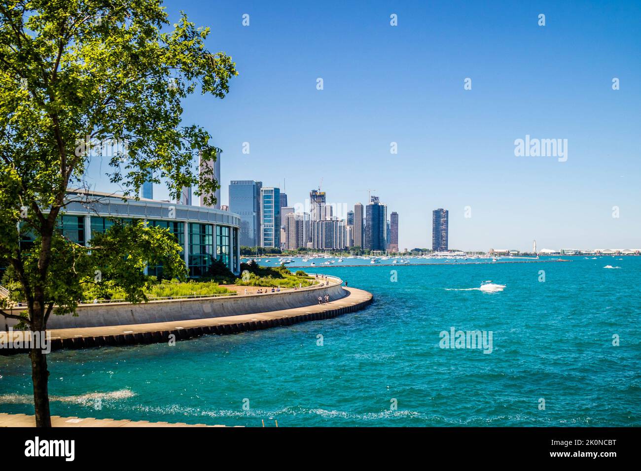 Un'enorme esposizione pubblica di creature acquatiche a Chicago, Illinois Foto Stock