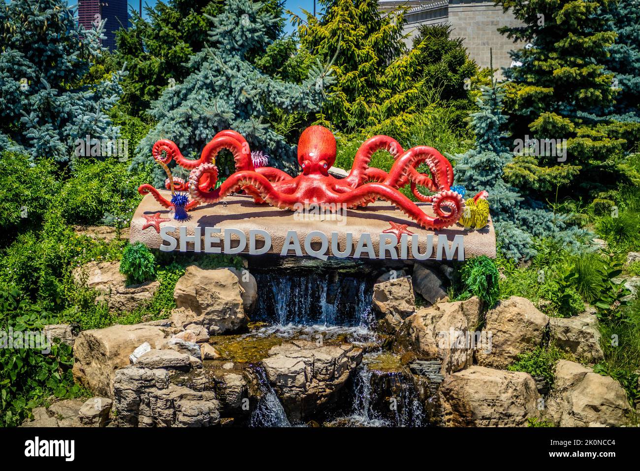 Un'enorme esposizione pubblica di creature acquatiche a Chicago, Illinois Foto Stock