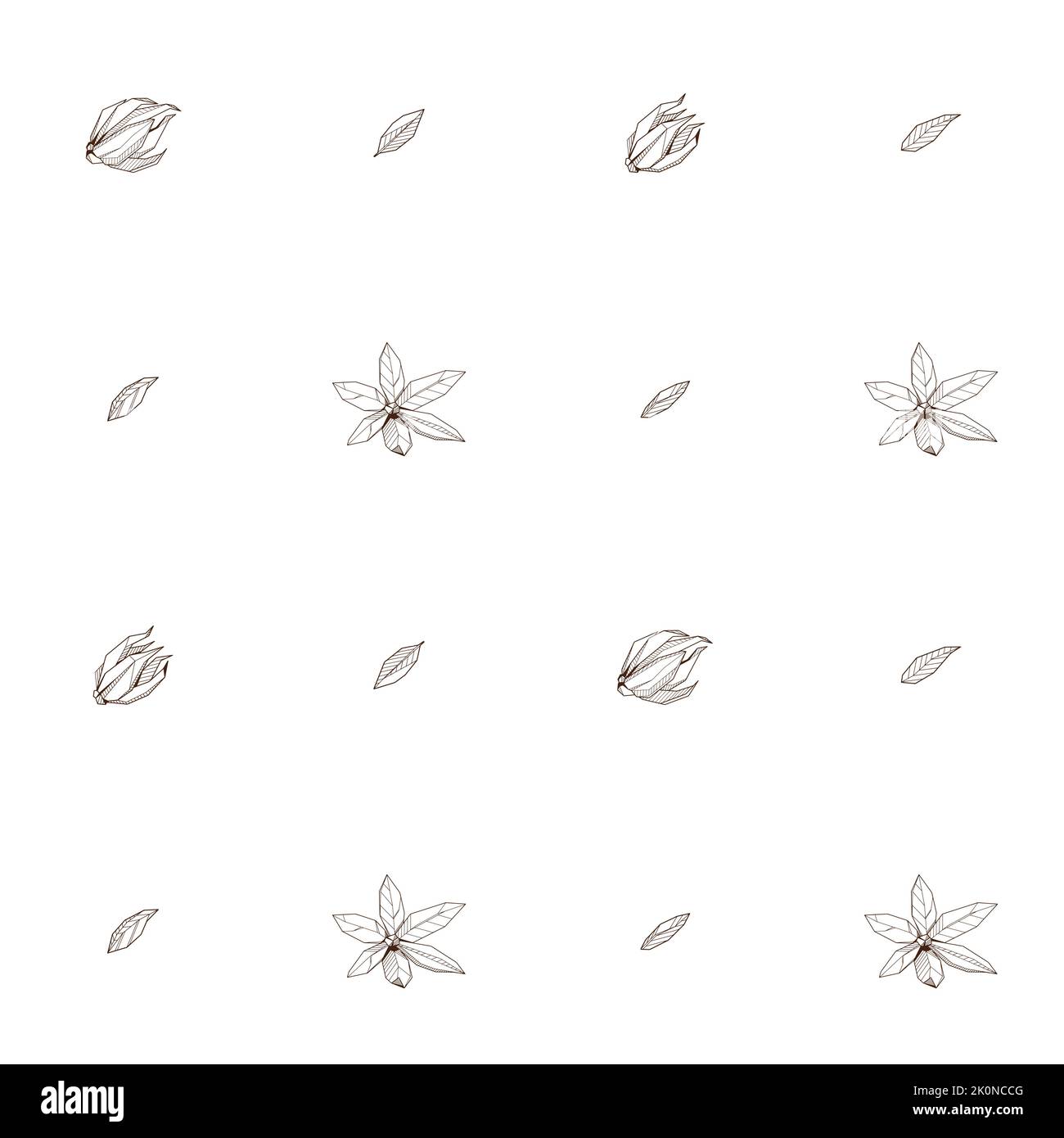 Motivo orientato senza cuciture con disegno a mano contorno fiore geometrico fioritura. Stampa vettoriale tessile Ylang-Ilang Illustrazione Vettoriale