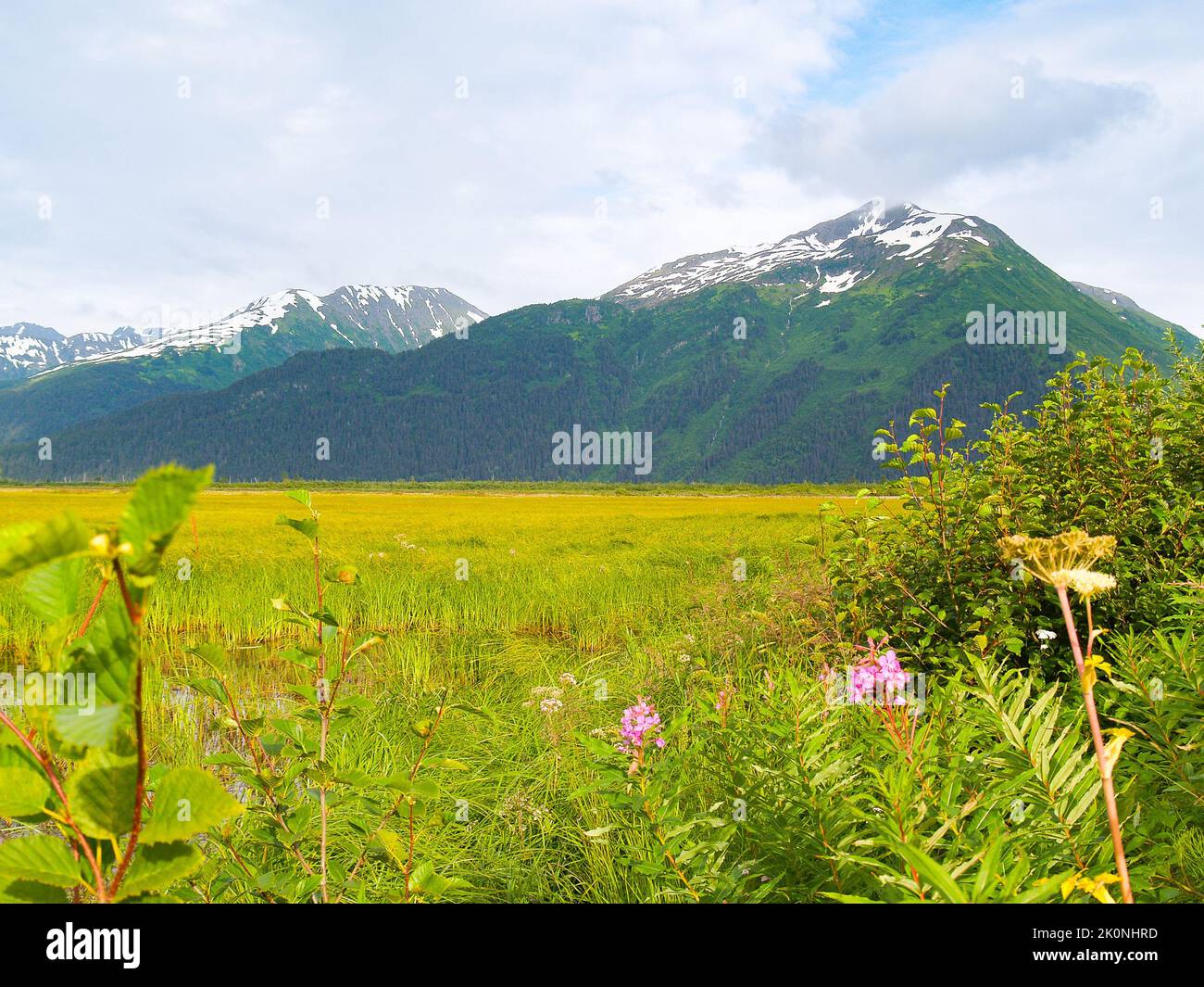 Ampio paesaggio paludoso di acqua e vegetazione verde che si estende in lontananza delimitato da montagne convergenti verso la neve sulle montagne dell'Alaska Foto Stock