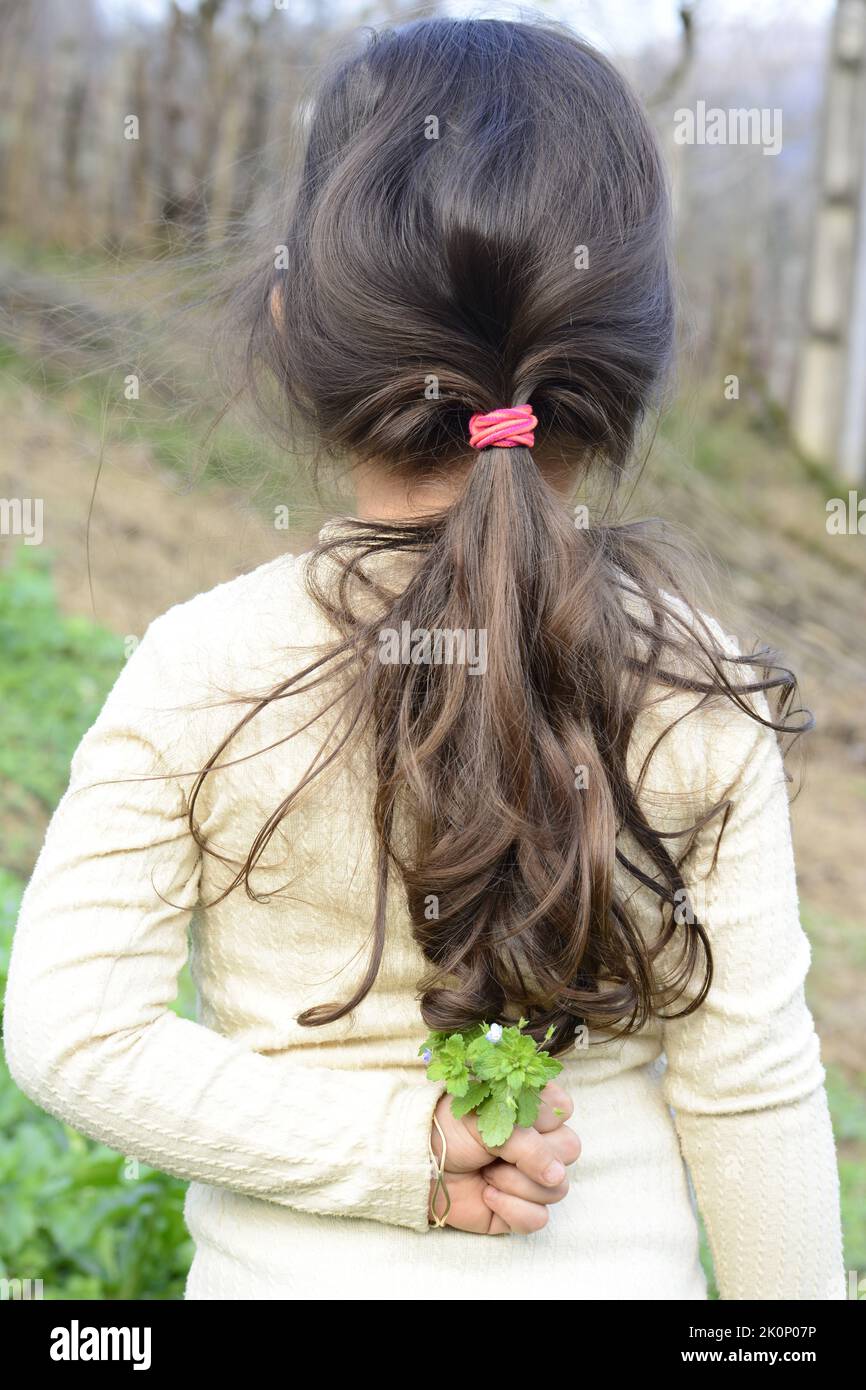 ragazza di 5 anni che tiene fiori selvatici alla schiena Foto Stock