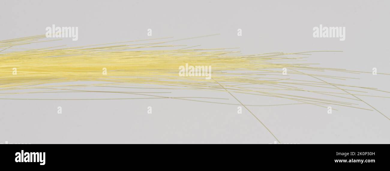 Colore giallo capelli dritti filo isolato macro vista ravvicinata Foto Stock