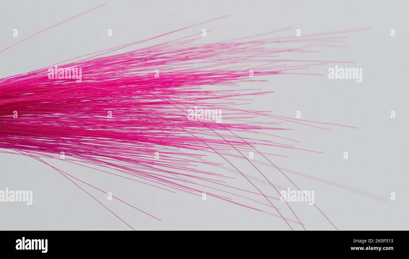 Capelli dritti rosa isolati su sfondo bianco studio Foto Stock