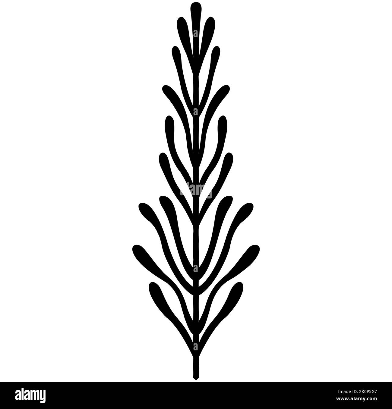 Nero vettore foglia tropicale silhouette disegnate a mano isolato su sfondo bianco, fogliame vegetale Illustrazione Vettoriale