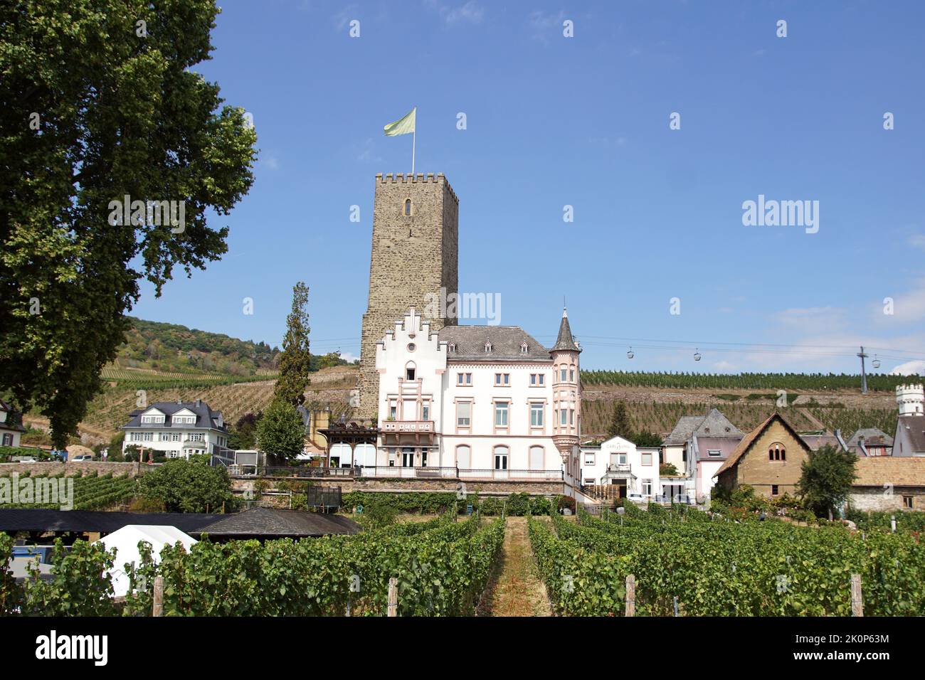 Vista sul castello di Boosenburg, un mastio romanico. Vitigni nella città tedesca di Rüdesheim. Germania, estate, settembre. Foto Stock