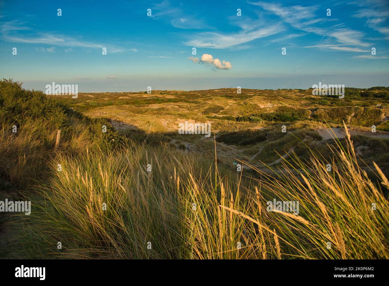 Paesaggio costiero nel nord dell'Olanda Foto Stock