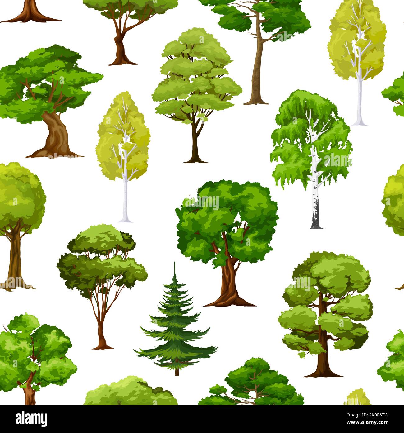 Cartoon foresta e alberi verdi giardino, senza cuciture sfondo motivo, vettore. Parco natura paesaggio con pini e abeti legno, foglie di betulla, acero e quercia, estate boschi piante modello Illustrazione Vettoriale