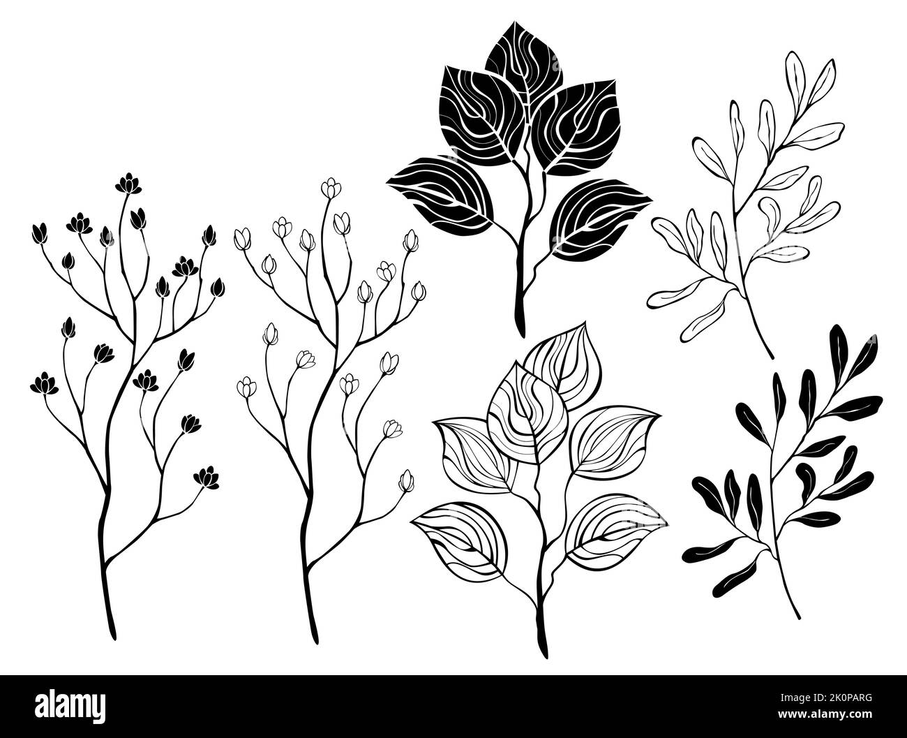 Set di contorni, nero, silhouette, piante selvatiche disegnate artisticamente, ramoscelli per bouquet e foglie, su sfondo bianco. Cottagecore. Contorno e silhouette Illustrazione Vettoriale