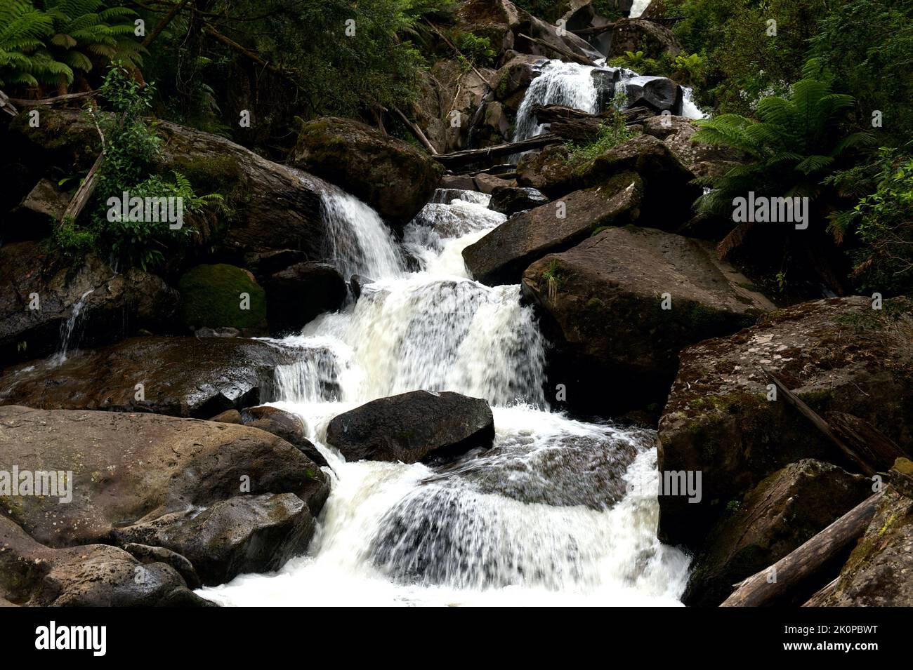 Le cascate Keppels Falls si trovano sul fiume Taggerty nella Marysville State Forest. Lady Talbot Drive ti porta sulle colline, con una pista sterrata che conduce alle cascate. Foto Stock