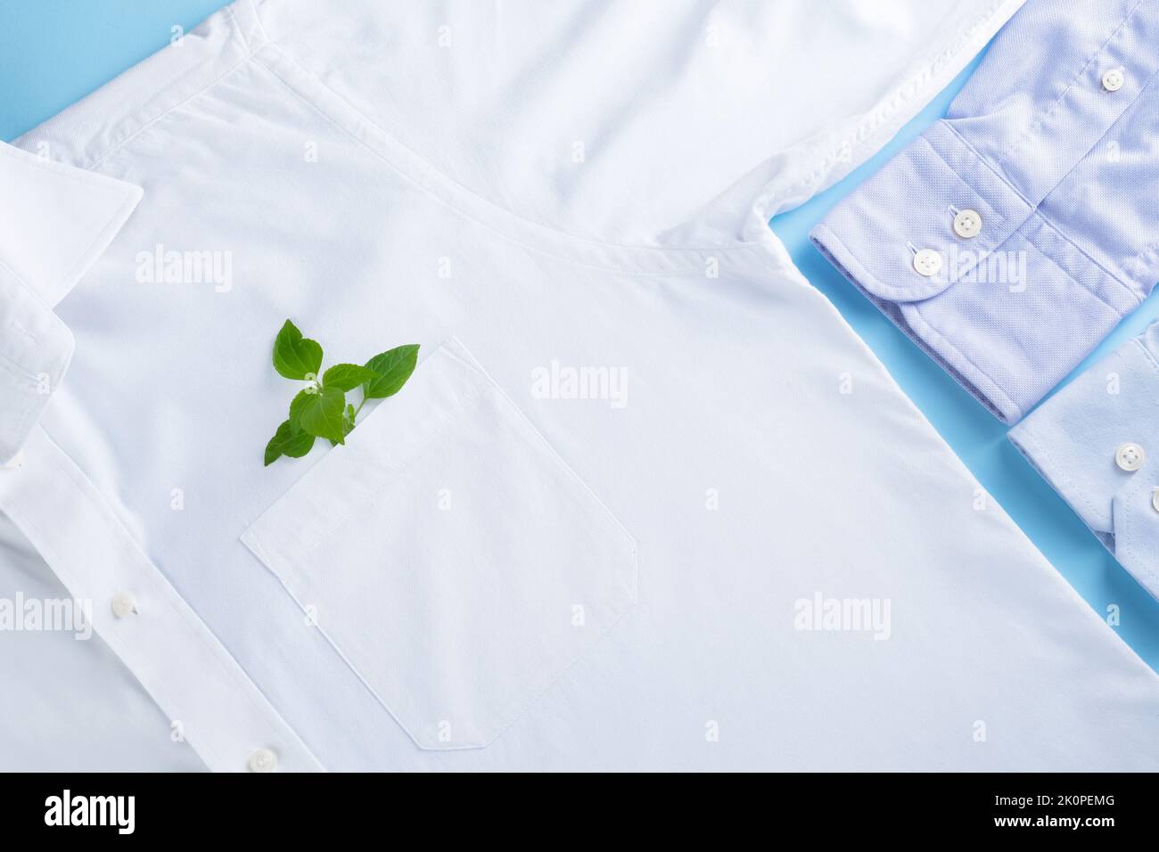 Consumo consapevole e rispettoso dell'ambiente. Una foglia verde nella tasca di una camicia bianca. Spazio per il testo. Concetto di moda lenta Foto Stock